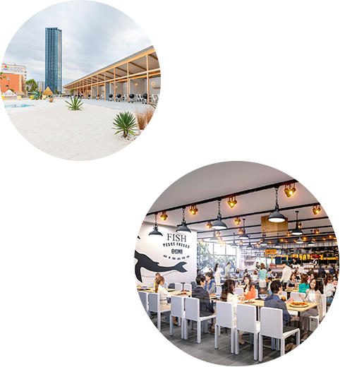 アイランドアイ